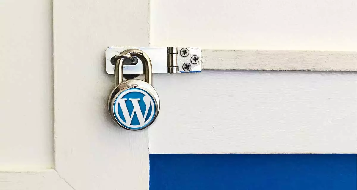 WordPress hosting, özellikle WordPress’i hedefleyen saldırılara karşı güvenlik önlemleri sağlayabilme avantajına sahiptir.