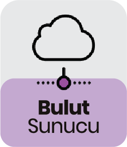 bulut