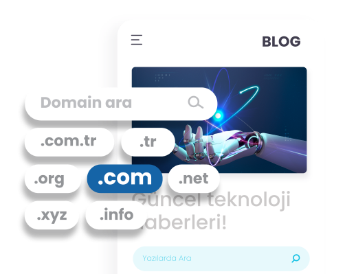 Domain Sorgulama Nedir?