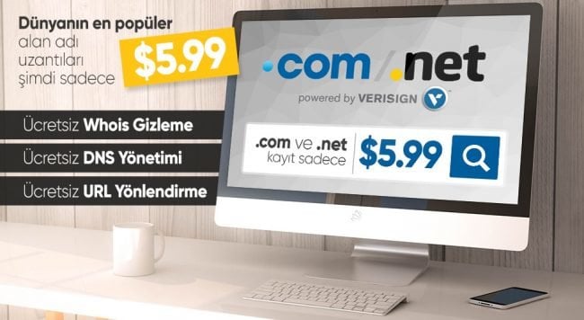 domain-sorgulama