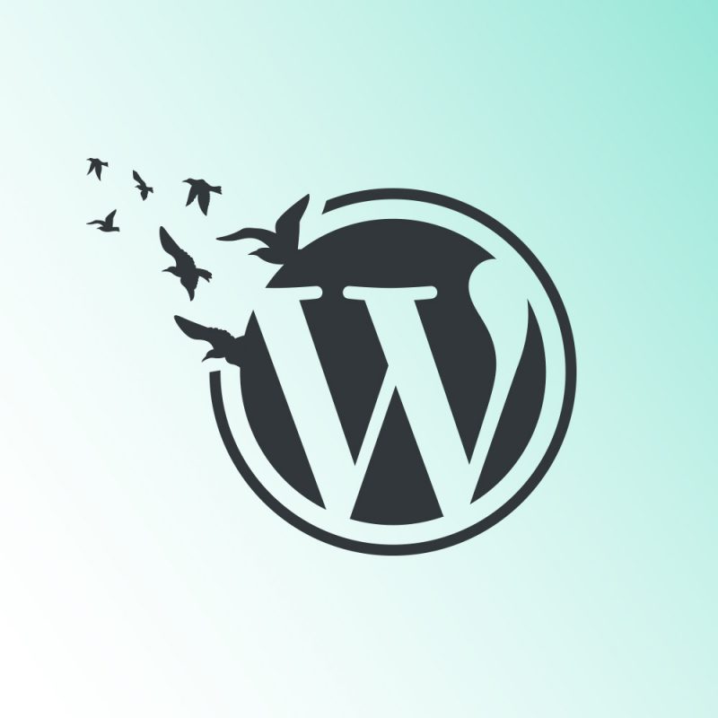 WordPress Site Taşıma Eklentileri