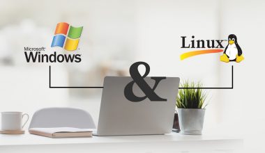 Windows Hosting ve Linux Hosting Arasındaki Farklar