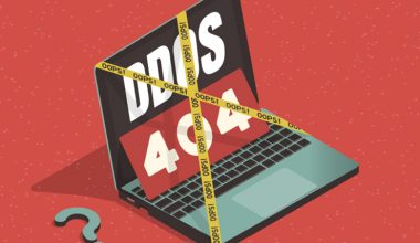 DDoS Nedir?