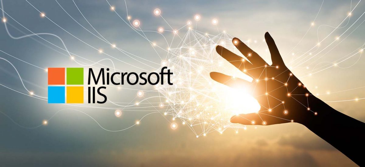 Microsoft IIS 10 Web Sunucu