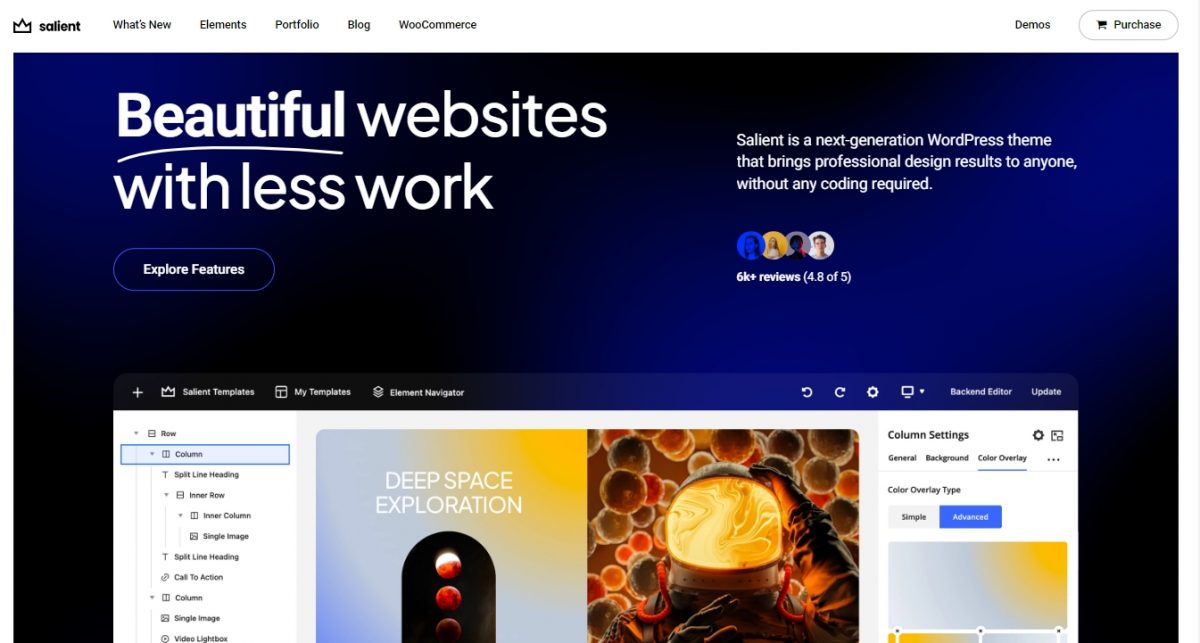 SALIENT WordPress Teması