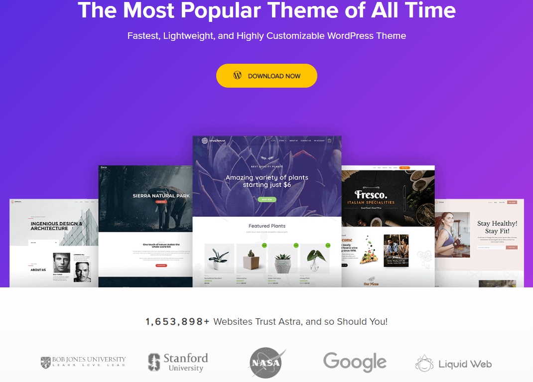 ücretsiz wordpress teması