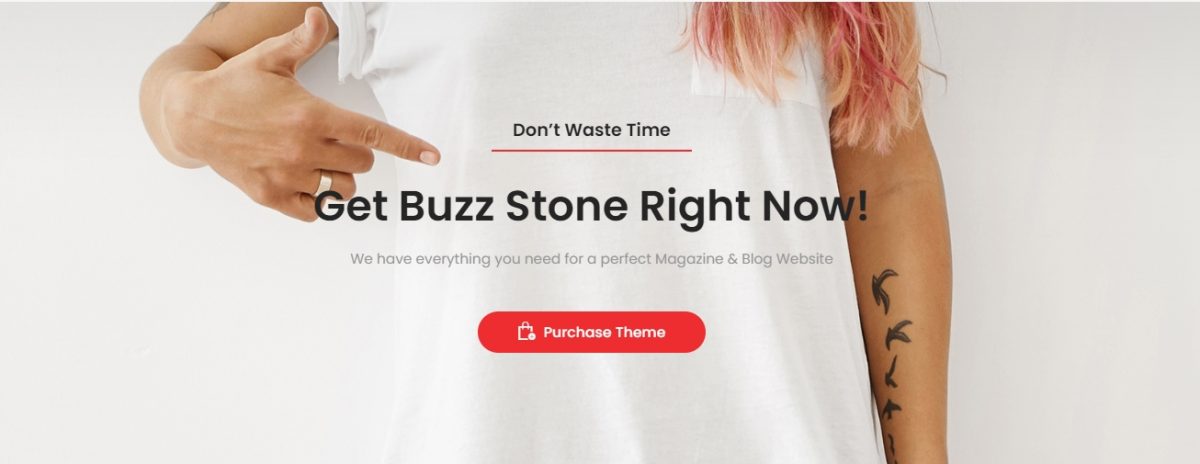 BUZZ STONE, haber sitesi teması, online yayıncılık temaları