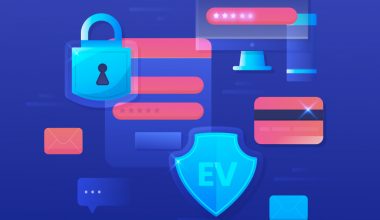 EV SSL Nedir, Ne İşe Yarar?